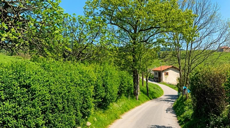 Cantabria - San Mamés de Meruelo - 4770m2