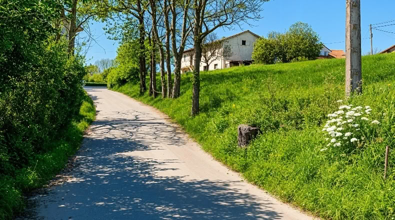 Cantabria - San Mamés de Meruelo - 4770m2