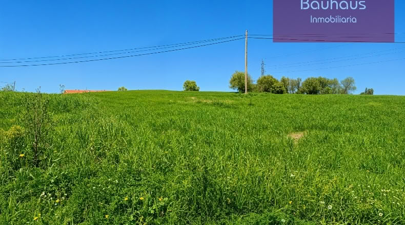 Cantabria - San Mamés de Meruelo - 4770m2