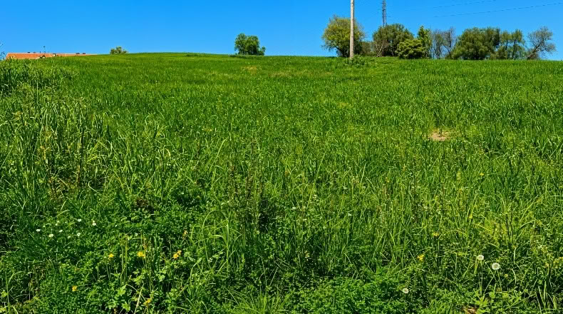 Cantabria - San Mamés de Meruelo - 4770m2