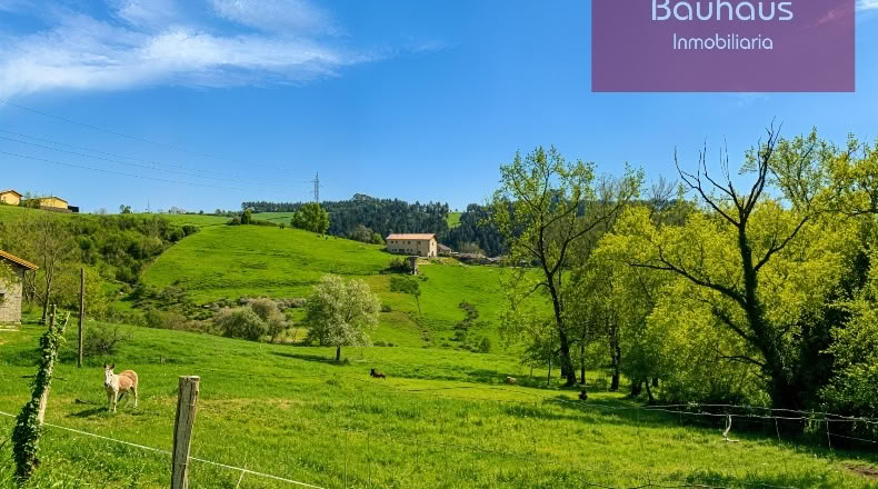 Cantabria - San Mamés de Meruelo - 4770m2