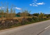 Terreny no urbanitzable en venda a la España, Dénia, ref.: TR415701 foto