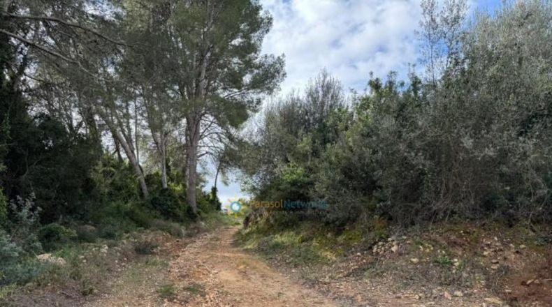 Valencia - Benigánim - 12165m2
