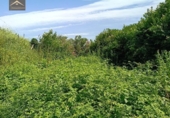 Village house for sale on España, Santiurde de Reinosa, ref: TR415703 photo