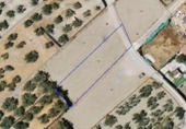 Non-developable land for sale on España, Gabia Grande, ref: TR415710 photo