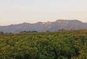 Sueca 1300&nbsp;m² 