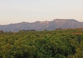 Country house with land for sale on España, Sueca, ref: TR415705 photo