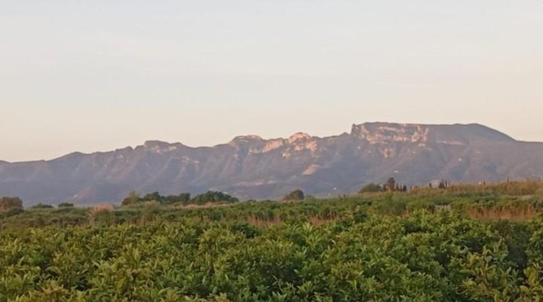 Valencia - Sueca - 1300m2