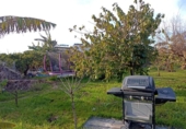 Country house with land for sale on España, Sueca, ref: TR415705 photo