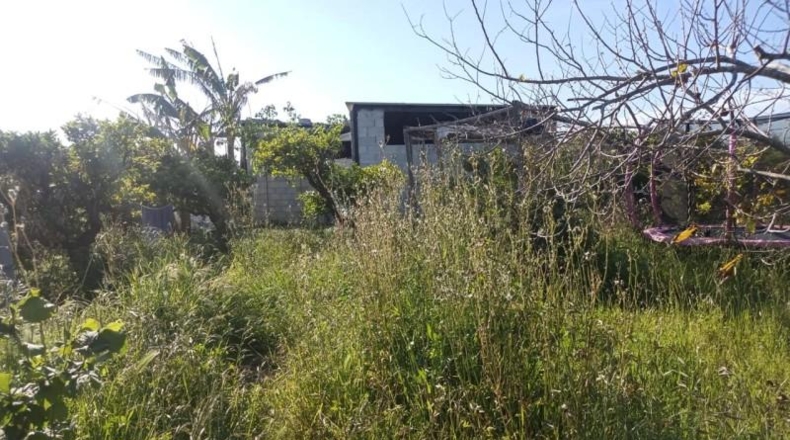 Valencia - Sueca - 1300m2