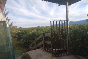 Sueca 1300&nbsp;m² 