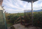 Country house with land for sale on España, Sueca, ref: TR415705 photo