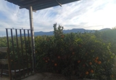 Country house with land for sale on España, Sueca, ref: TR415705 photo