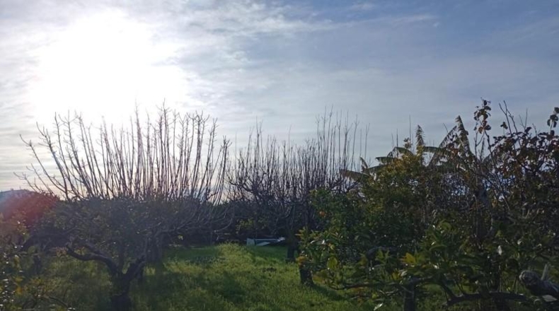 Valencia - Sueca - 1300m2