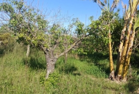 Sueca 1300&nbsp;m² 