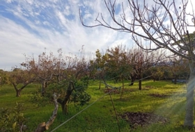 Sueca 1300&nbsp;m² 