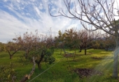 Country house with land for sale on España, Sueca, ref: TR415705 photo