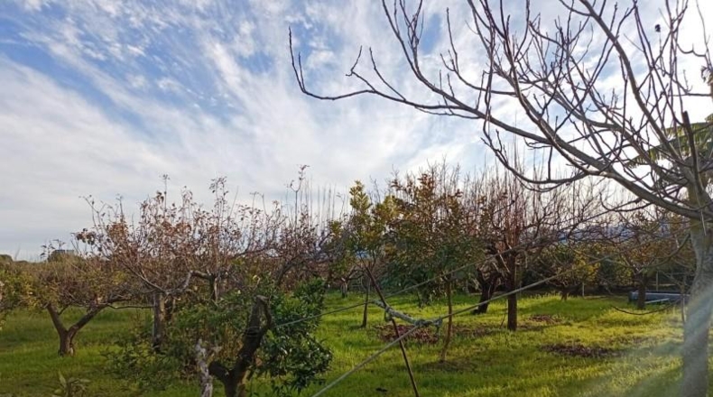 Valencia - Sueca - 1300m2