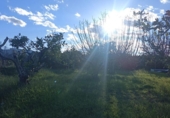 Country house with land for sale on España, Sueca, ref: TR415705 photo
