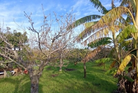 Sueca 1300&nbsp;m² 