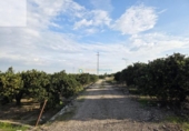 Terreno no urbanizable en venta en la España, Senyera, ref: TR359703 foto