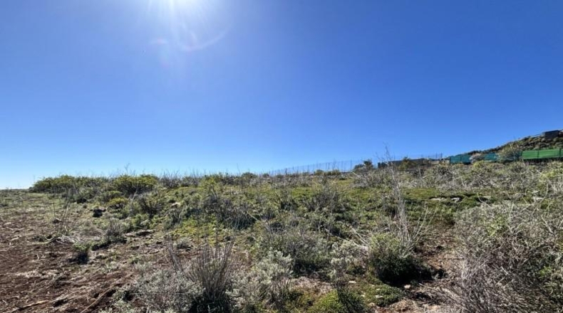 Las Palmas - Santa Lucía de Tirajana - 3573m2