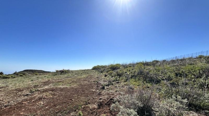 Las Palmas - Santa Lucía de Tirajana - 3573m2