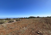 Terreno no urbanizable en venta en la España, Ingenio, ref: TR229636 foto