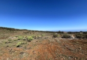Terreno no urbanizable en venta en la España, Ingenio, ref: TR229636 foto