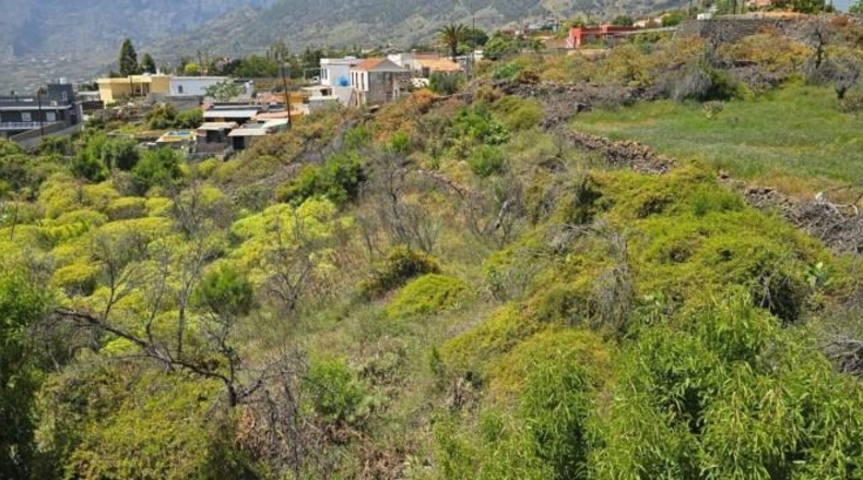Santa Cruz de Tenerife - El Paso - 1449m2