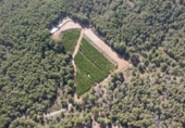 Terreno no urbanizable en venta en la España, Sagunto, ref: TR321207 foto
