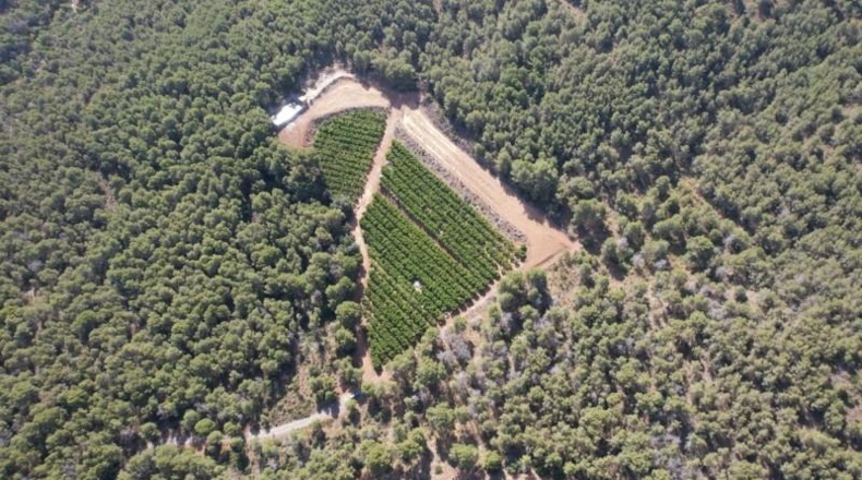 Valencia - Sagunto - 17000m2