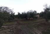 Terreno no urbanizable en venta en la España, Villargordo, ref: TR219832 foto