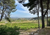 Terreno no urbanizable en venta en la España, La Font d'en Carròs, ref: TR311496 foto