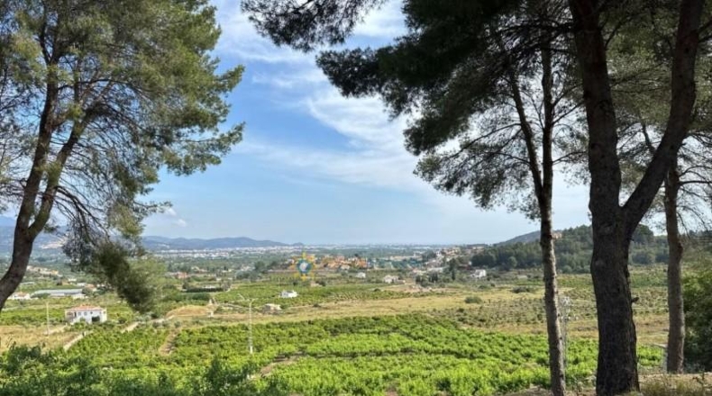 Valencia - la Font d'en Carròs - 7283m2