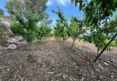 Terreno no urbanizable en venta en la España, La Font d'en Carròs, ref: TR311496 foto