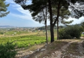 Terreno no urbanizable en venta en la España, La Font d'en Carròs, ref: TR311496 foto