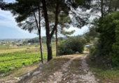 Terreno no urbanizable en venta en la España, La Font d'en Carròs, ref: TR311496 foto