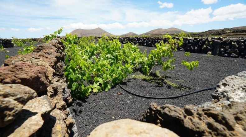 Las Palmas - Tinajo - 1476m2