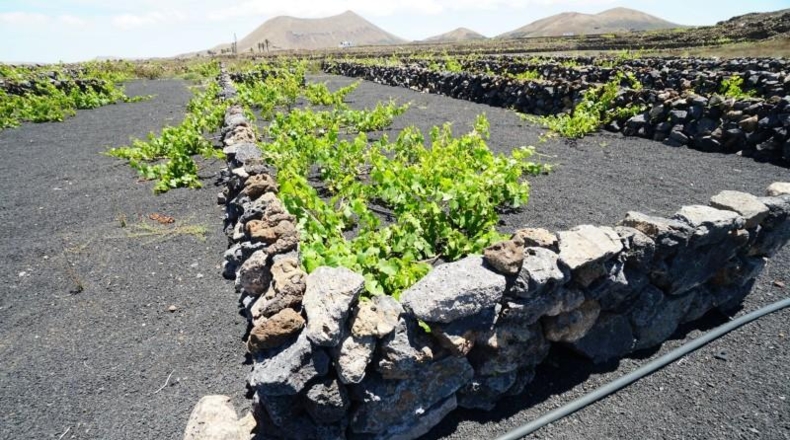 Las Palmas - Tinajo - 1476m2