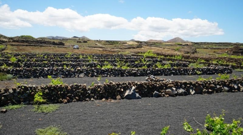 Las Palmas - Tinajo - 1476m2