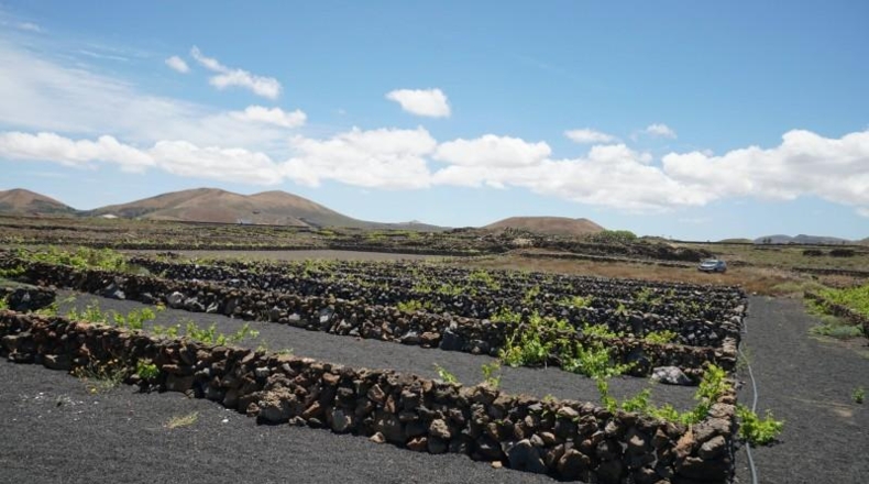 Las Palmas - Tinajo - 1476m2