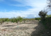 Casa de camp amb terreny en venda a la España, Albaida, ref.: TR318210 foto