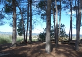 Casa de camp amb terreny en venda a la España, Albaida, ref.: TR318210 foto