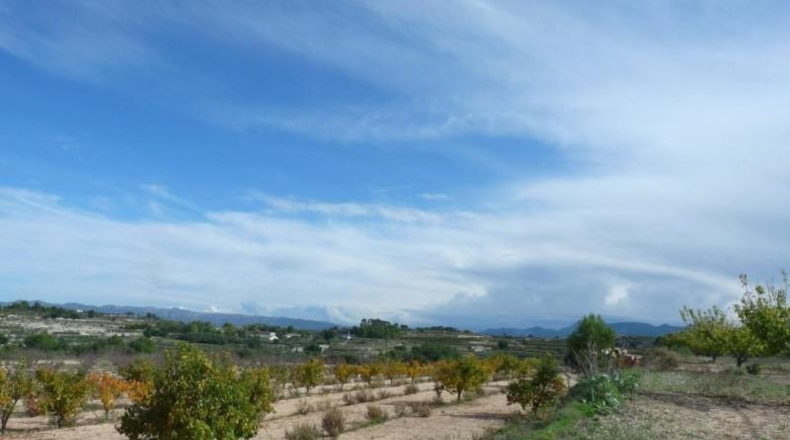 Валенсия - Albaida - 37440m2