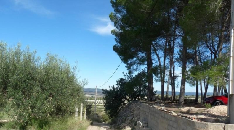 Валенсия - Albaida - 37440m2
