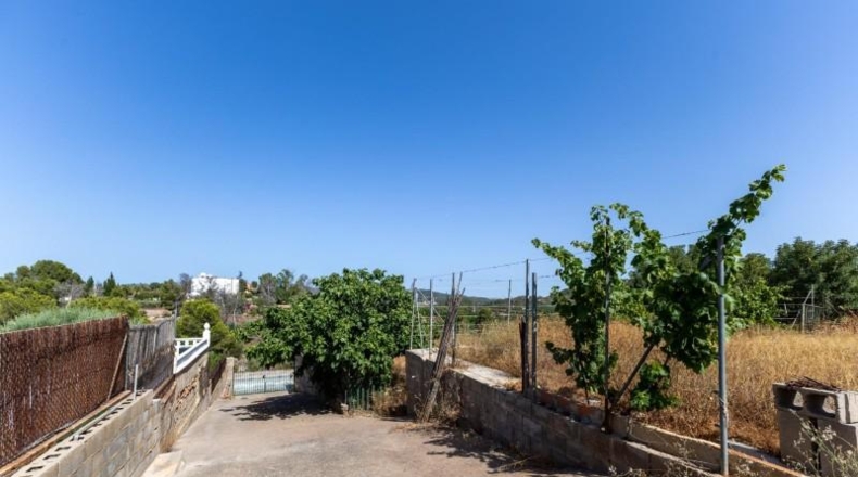 Valencia - Torres Torres - 880m2