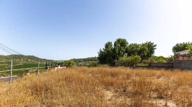 Valencia - Torres Torres - 880m2