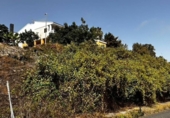 Suelo urbano en venta en la España, Arucas, ref: TR308404 foto