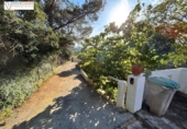 Casa de camp amb terreny en venda a la España, Sagunt, ref.: TR415713 foto